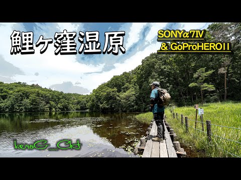 SONYα7Ⅳ & GoProHERO11【鯉ヶ窪湿原】