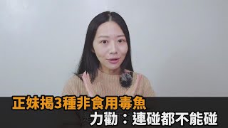 千萬不要吃！3種非食用毒魚「連碰都不能碰」　正妹直言：可能上新聞－民視新聞