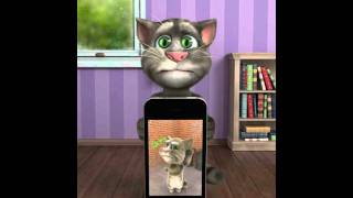 Talking Tom Plays Talking Tom 2