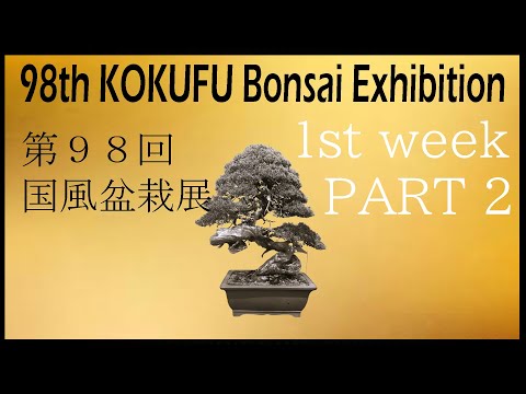 98th KOKUFU BONSAI EXHIBITION 2024 /02/9~12 1st week. 第98回国風盆栽展（前期）PART.2