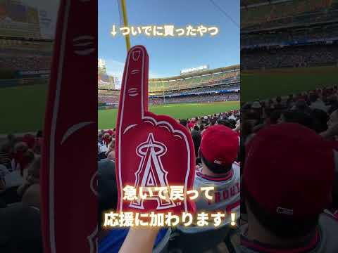 【大谷翔平】エンジェルスの試合を初めて観戦してきました！#shorts #留学 #アメリカ #大学生 #エンジェルス #大谷翔平 #野球