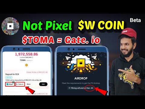 Not pixel Airdrop Date out | W coin treasure 🪙 | $TOMA Token Deposit gate.io & bitget | Not pixel