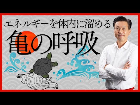 エネルギーを体内に溜める「亀の呼吸」とは？｜中井マサル