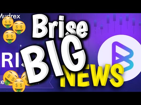 Brise Coin News uPdate today