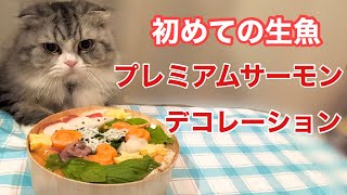 生まれて初めてプレミアムサーモンを食べた猫の反応を見て下さい笑