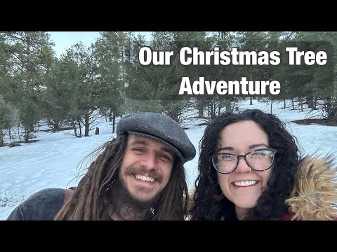 Cutting Down Our Own Christmas Tree | Fun & Festive Holiday Traditions on the Homestead 🎄