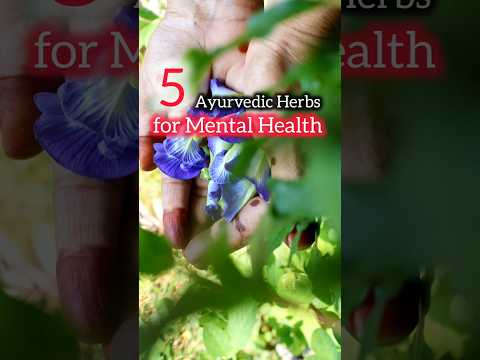 5 Ayurvedic herbs for good Mental health/ बुद्धि बढ़ाने वाली 5 आयुर्वेदिक जड़ी बूटियाँ#shorts