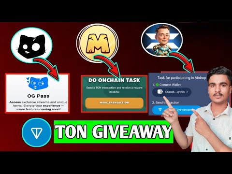 X Empire Ton Giveaway|| Hamster Kombat Gas fee giveaway 🎁 Cats Ton Giveaway