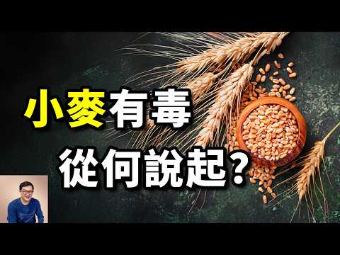 小麥到底還能吃嗎？人類最離不開的食物，卻被批判為健康殺手！現代小麥的基因從何而來？麩質蛋白的真相……【老肉雜談】#生物 #小麥 #植物 #食物 #農作物