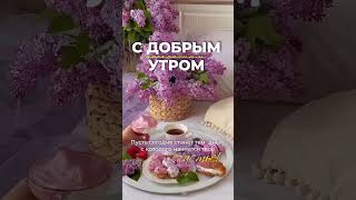 #доброеутречкохорошегодня #утренниесторис #готовыесторис