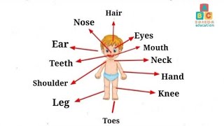 Basic Parts of the Body| Learn Body Parts name with pictures|#partsofthebody #saishaeducation