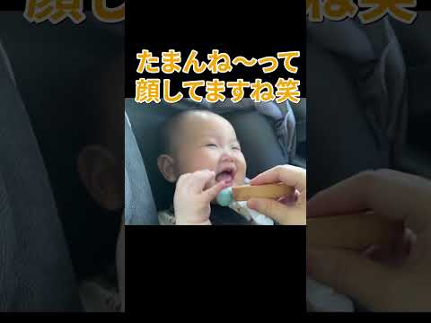 たまらん表情の赤ちゃん #shorts  #赤ちゃん  #baby