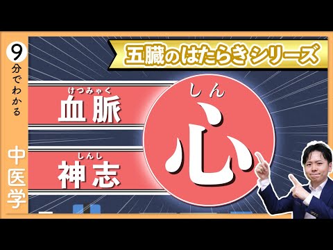 五臓六腑の【心】｜イメージでわかる「五臓」のはたらき【9割が知らない中医学】