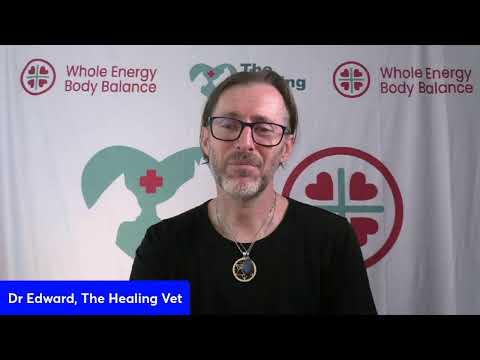 "Busting the 'Alpha' Myth so you can set your dogs free" With Dr Edward, The Healing Vet