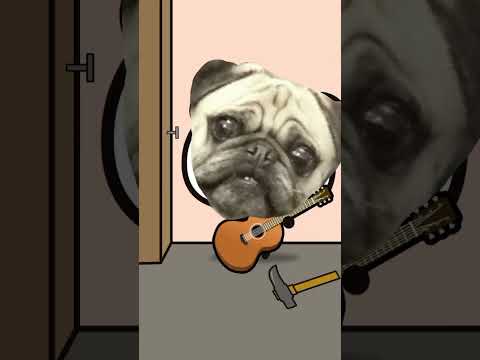 funny cute pugs DIY gone wrong, stay positive guitar and dance lesson