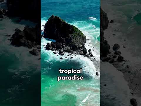 Fernando de Noronha | Why Go? | Brazil | Brazil’s Tropical Paradise 🏝️✨ #brazil #travel