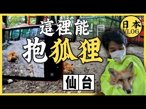 在日本抱狐狸是種什麼體驗？杜王町原型—仙台長什麼樣子呢 | 日本東北一泊遊