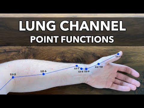 Lung Channel - Point Functions & Indications