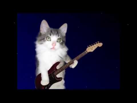 "Bohemian Rhapsody"  -  The Cats