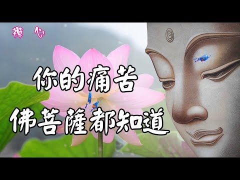 ☯【禪心】你的痛苦 佛菩薩都知道