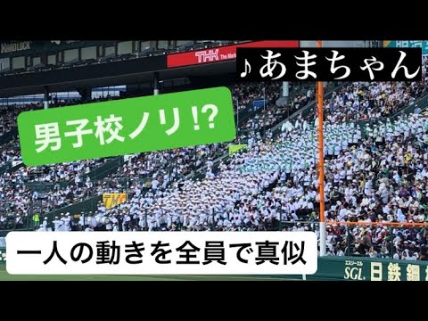 【あまちゃん】報徳学園 踊りながら 応援歌 甲子園2024 アルプス 高校野球 朝ドラ