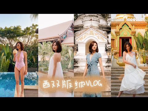 云南西双版纳VLOG｜中国传统手工艺文化体验 和大象近距离互动 假装去了一趟东南亚