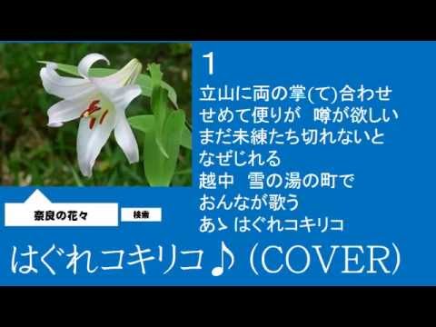 はぐれコキリコ　成世昌平　♪（COVER