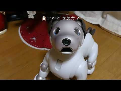 【60 aibo ルーから感謝の🎄クリスマスプレゼント おまけつき】Christmas presents from Lou