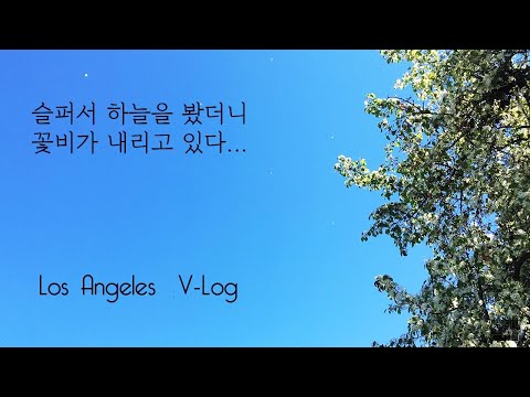 엘에이 브이로그 - 우울한 날 - 나락으로 떨어지지 않기 위해 한 일들 - 우울했던 일주일