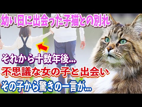 【不思議な話】幼い日に出会った病弱な子猫との悲しい別れ…。それから十数年後、私はひとりの女の子と出会う→そして女の子の突然すぎる話に驚愕する事に…【朗読】【猫】【感動】