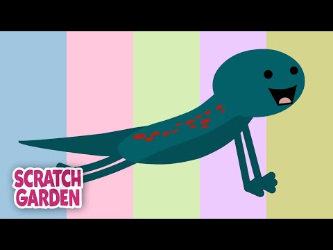 Salamander Yoga Compilation! | Yoga for Kids | Scratch Garden