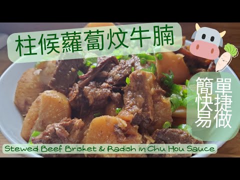 【英該Dim煮】柱候蘿蔔炆牛腩 | Stewed Beef Brisket and Radish in Chu Hou Sauce | 壓力煲 | Instant Pot Recipe |