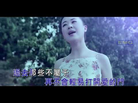 被情伤过的女人 ~ 杨梓（MV）