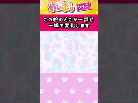 【わんだふるぷりきゅあ】一瞬で絵が変わるフラッシュクイズ！「パート39」【はんちゃんラボTV】 #わんだふるぷりきゅあ #わんぷり #プリキュア