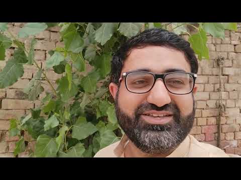 Waleed Alam Ki Terf Se Ahle Islam Ko Dil Ki Gehraion Se EID MUBARIK