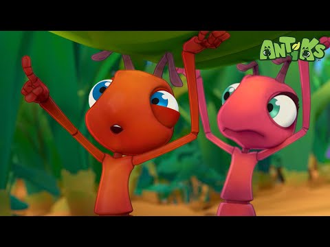 What's Over There? | Full Episodes | Antiks | Cartoons for Kids