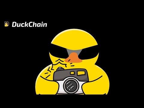 Duck Chain Mainnet is Live | Airdrop Snapshot | #airdrops #snapshot #duckchain #live #tg #nft #claim