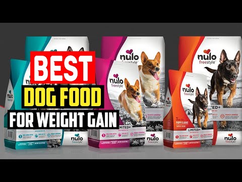 ✅Top 5 Best Dog Food for Weight Gain of 2023