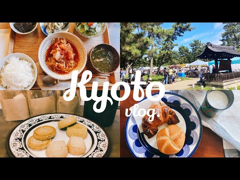 東山・岡崎さんぽvlog👒京都の蚤の市めぐり