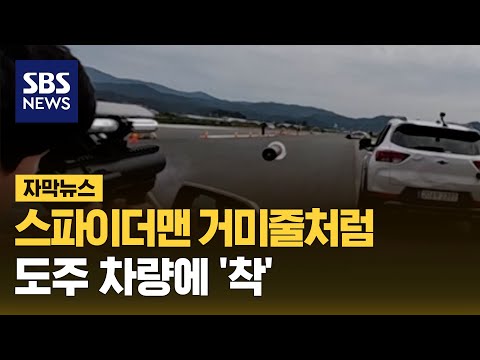 스파이더맨 거미줄처럼…도주 차량에 '착' (자막뉴스) / SBS