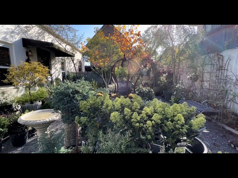 【GARDENS】English garden shop 受賞数多数　ノルディックスタイル