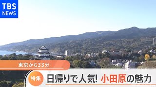 日帰りにピッタリ！ぶらり小田原の旅