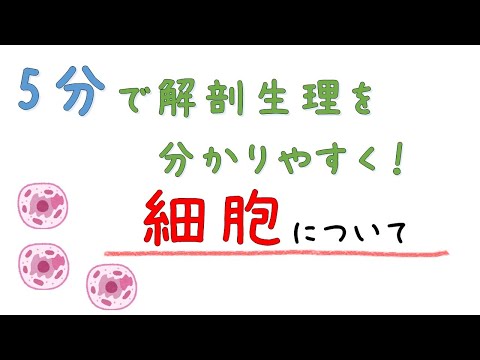 細胞について【5分でわかる解剖生理学】