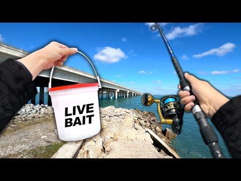 Eating Whatever I Catch.. Fishing a NEW Spot (Catch and Cook)