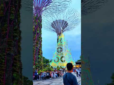 Gardens by the Bay Singapore #trending #travel #youtubeshorts #nature #shorts #singaporevibes