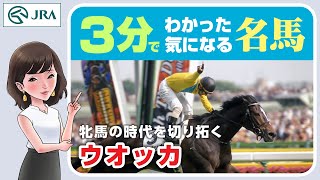 【3分でわかる】ウオッカ・牝馬の時代を切り拓く | JRA公式