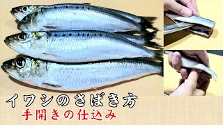 【イワシ】包丁と手開きの仕込み方　寿司や刺身になるまで How to handle sardines