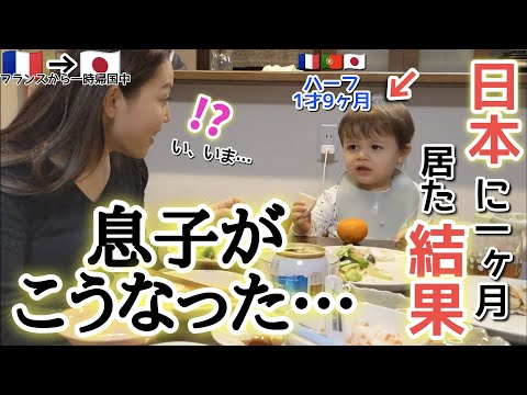 日本に１カ月いたら息子がこうなりました【国際結婚】フランスから一時帰国中