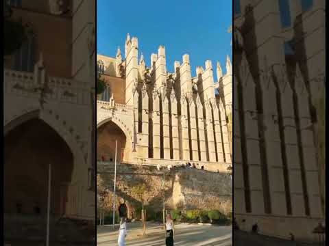 Palma de Mallorca - beautiful city 🌆✨#palmademallorca #city #españa #islasbaleares