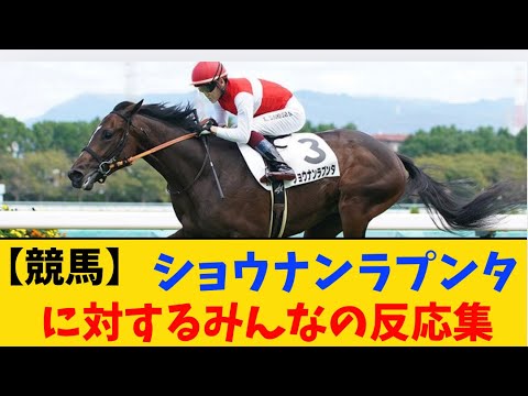 『阪神大賞典でのショウナンラプンタ…』に対するみんなの反応集